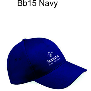 NYS Cap
