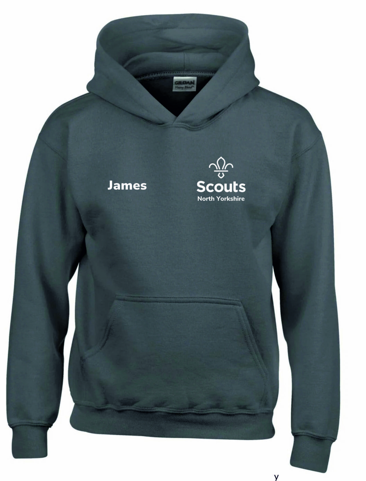 NYS Hoodie (Embroidered)